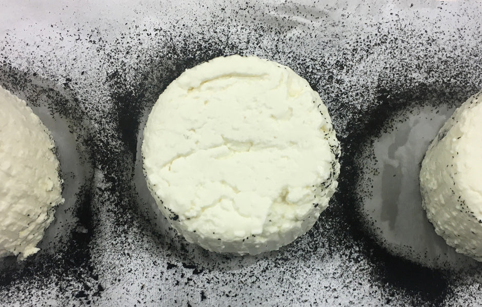Washed Rind Cheese Process Making a washed rind cheese in the cellar at Vaucluse House | kristen allan