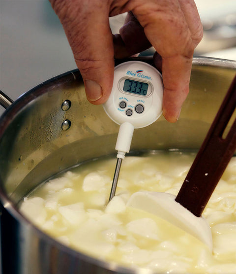 Digital Thermometer - The Cheese Making Shop